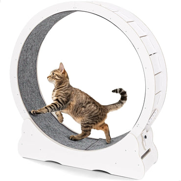 YODOLLA 35.8'' Cat Wheel Large Quiet Cat Treadmill, White