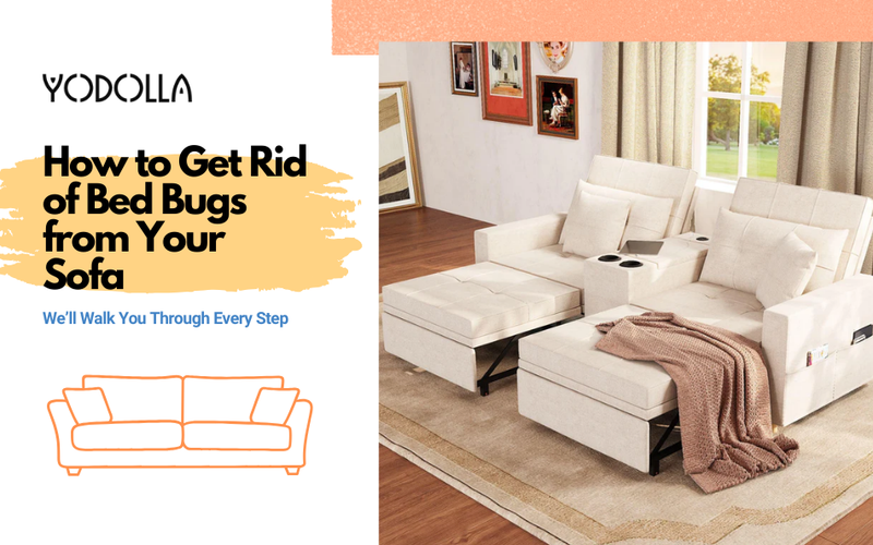 How to Get Rid of Bed Bugs from Your Sofa Quickly and Safely