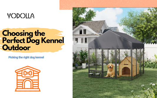 Choosing the Perfect Dog Kennel Outdoor