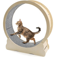 Cat Toys