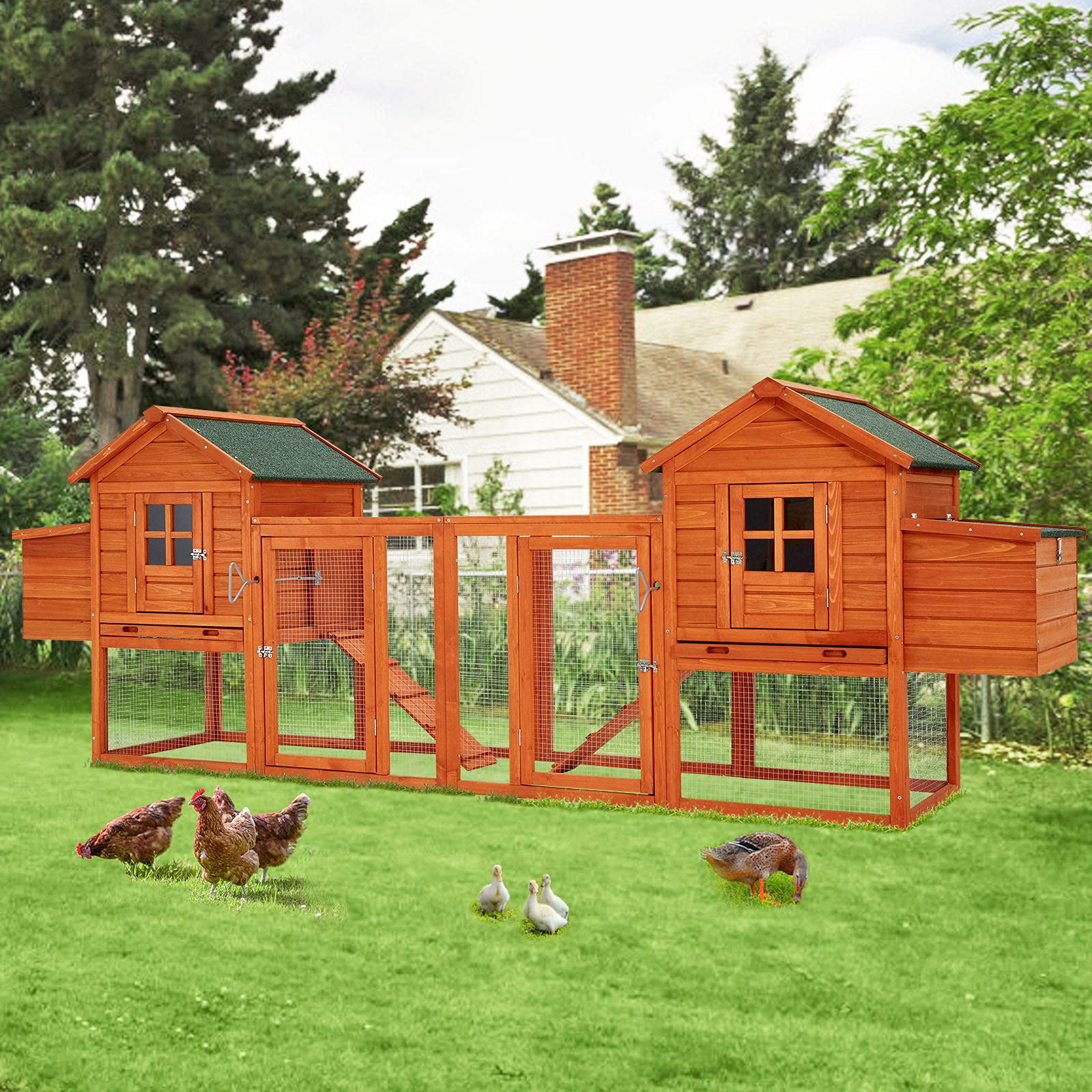 YODOLLA 123” natural wood chicken coop.